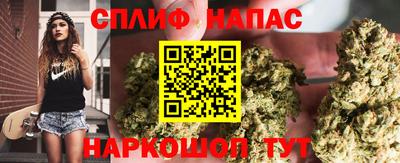 ПСИЛОЦИБИНОВЫЕ ГРИБЫ Гулькевичи