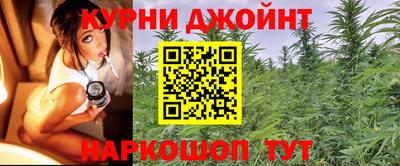 ПСИЛОЦИБИНОВЫЕ ГРИБЫ Гулькевичи