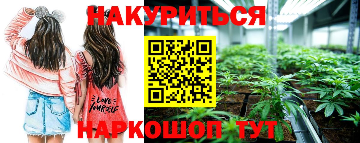 Каннабис планчик Братск